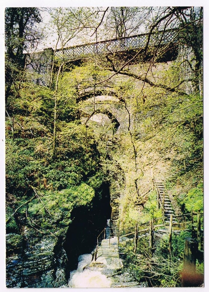 Postcard Devil's Bridge & Punch Bowl Cardiganshire  UK