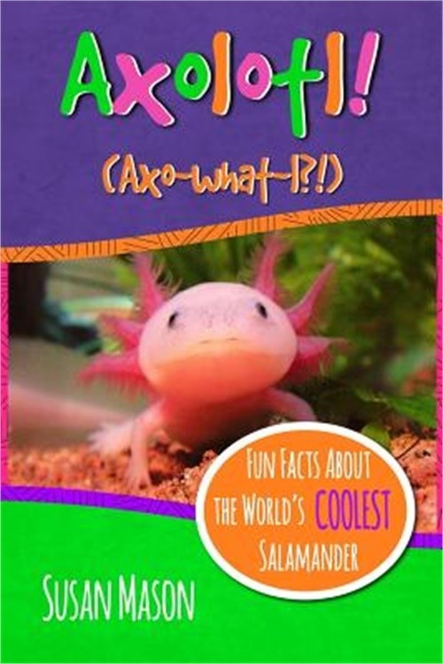 Axolotl!: Fun Facts about the World's Coolest Salamander - An Info-Picturebook f