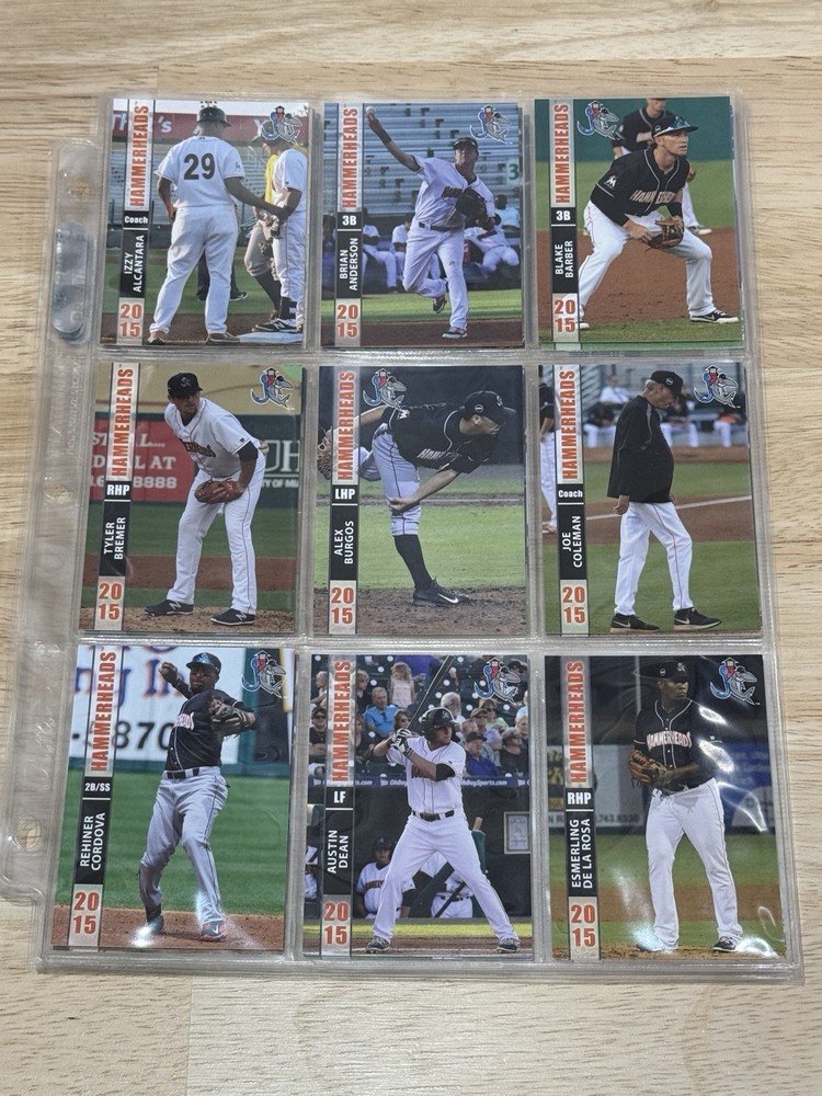 2015 Grandstand Minor League Baseball Jupiter Hammerheads Complete Team Set