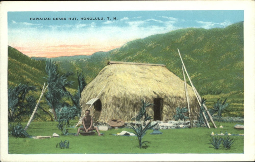 Honolulu Territory of Hawaii Grass Hut 1920s unused Island Curio postcard