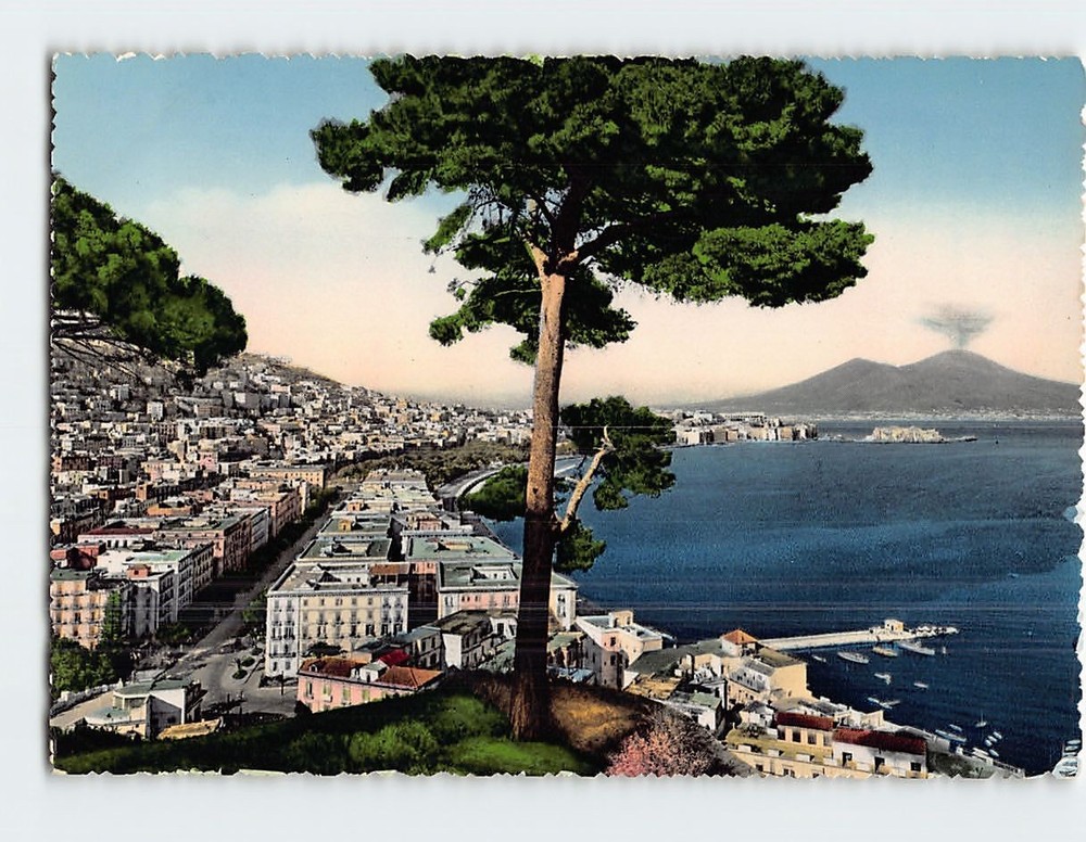 Postcard General View & Vesuvius Naples Italy