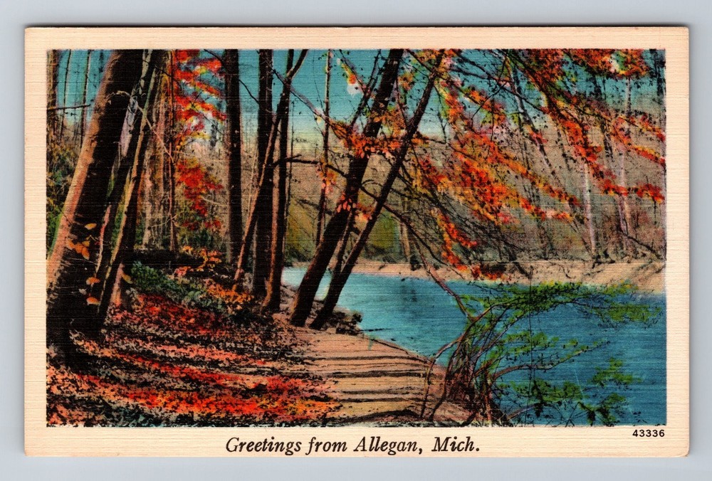 Allegan MI-Michigan Scenic Greetings Autumn Foliage Vintage c1942 Postcard
